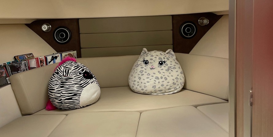 Boston Whaler 315 Conquest