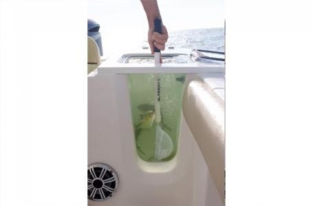 248 Sea Fox Commander