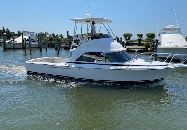 Bertram Flybridge Cruiser