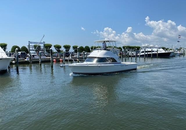 Bertram Flybridge Cruiser