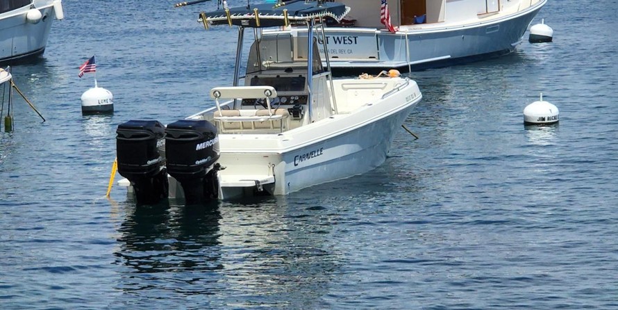 Caravelle sea hawk 230