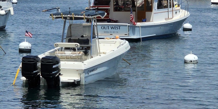 Caravelle sea hawk 230