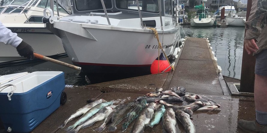 North River Seahawk OS 2900SXL