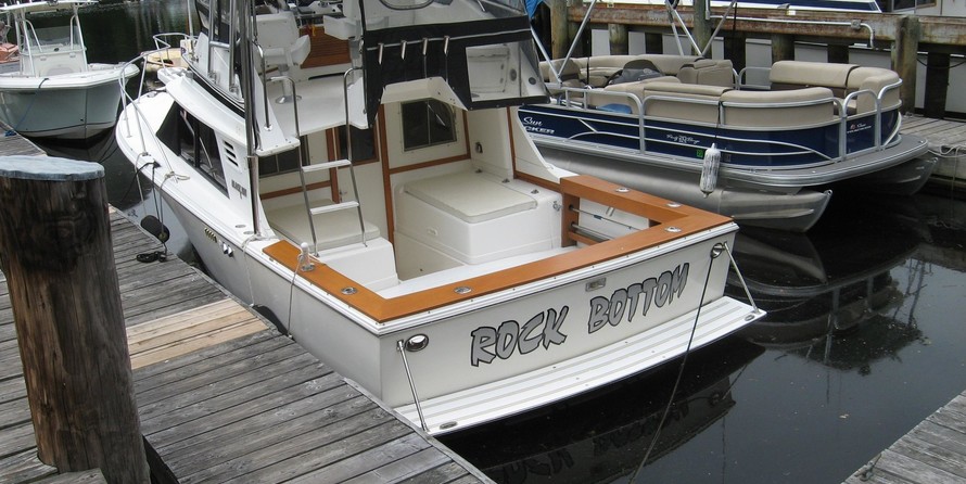 Blackfin 29 combi