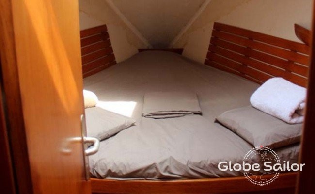 Alliaura Marine Feeling 446