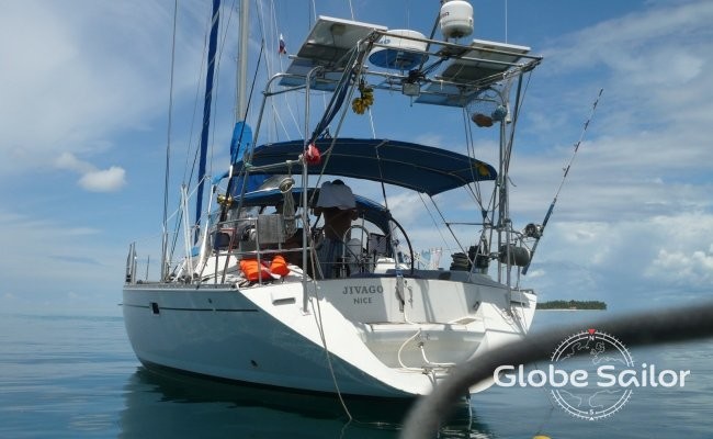 Alliaura Marine Feeling 446