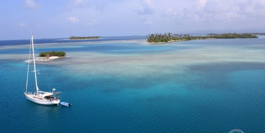 Alliaura Marine Feeling 446