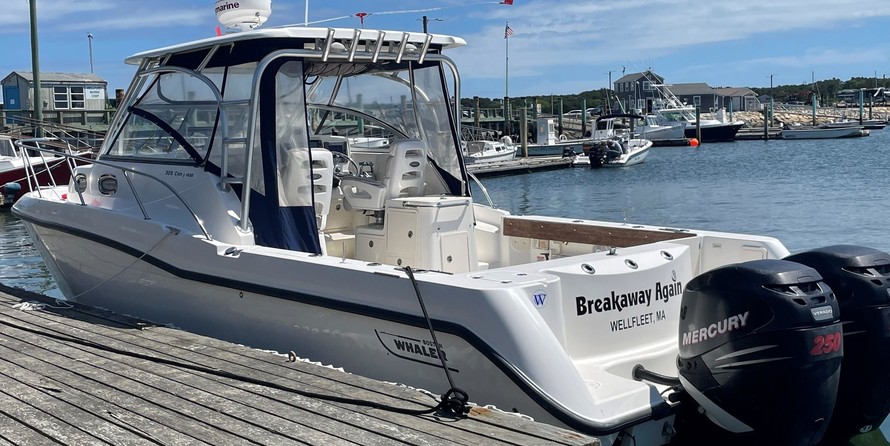 Boston Whaler 305 Conquest