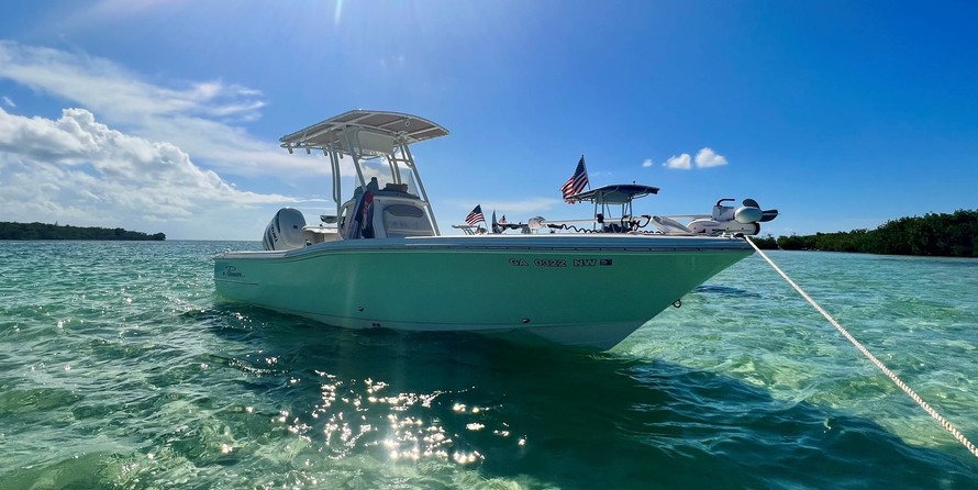 Pioneer 175 bay sport