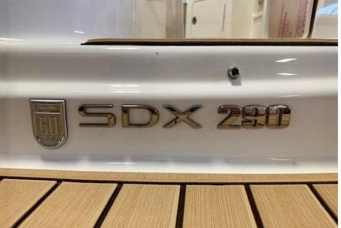 Sea Ray SDX 290