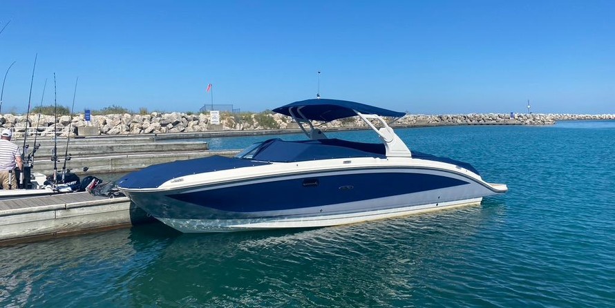 Sea Ray SDX 290