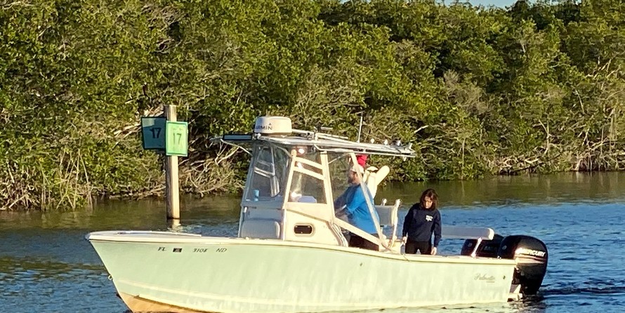 Palmetto 23 Adventure