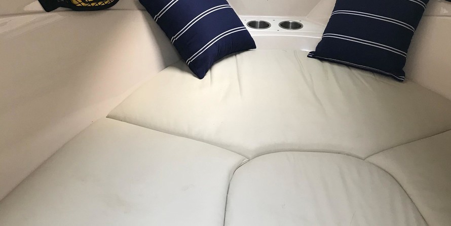 Wellcraft 290 Coastal