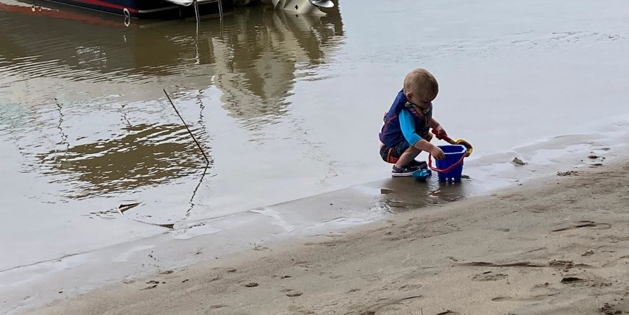 Wellcraft 290 Coastal