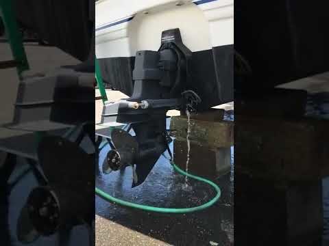 Chaparral 240 Signature