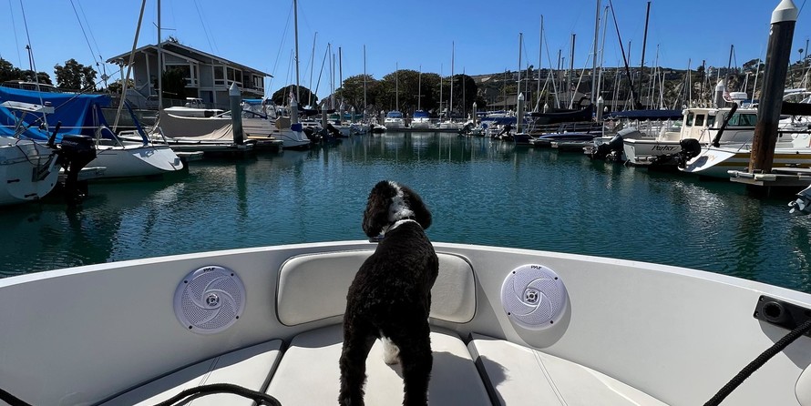 Bayliner VR5 BOWRIDER