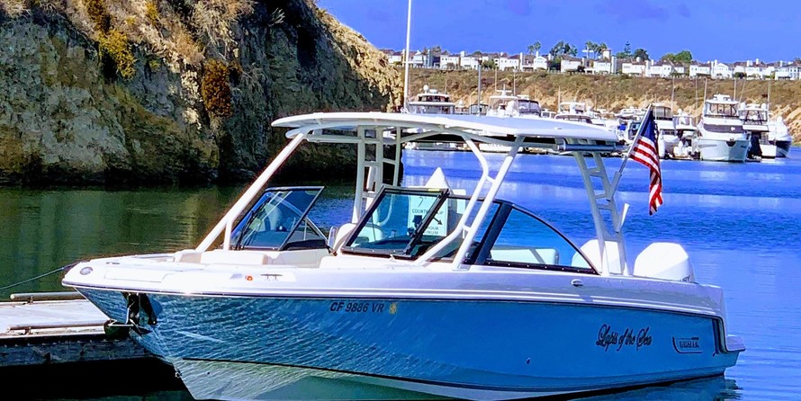 Boston Whaler 270 Vantage