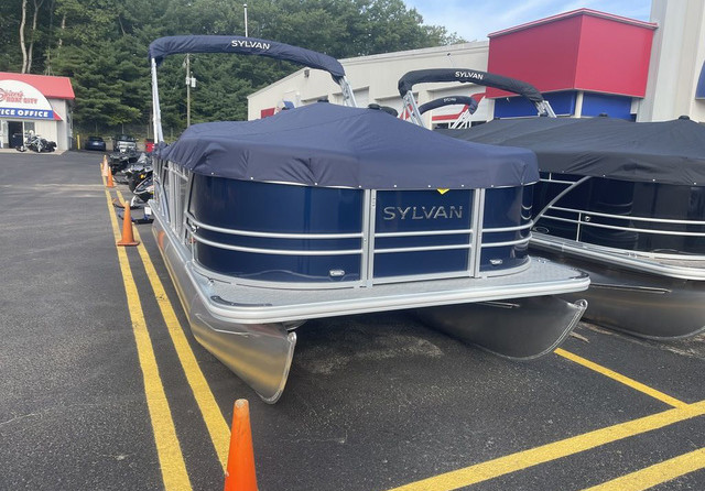 Sylvan 8520 Cruise
