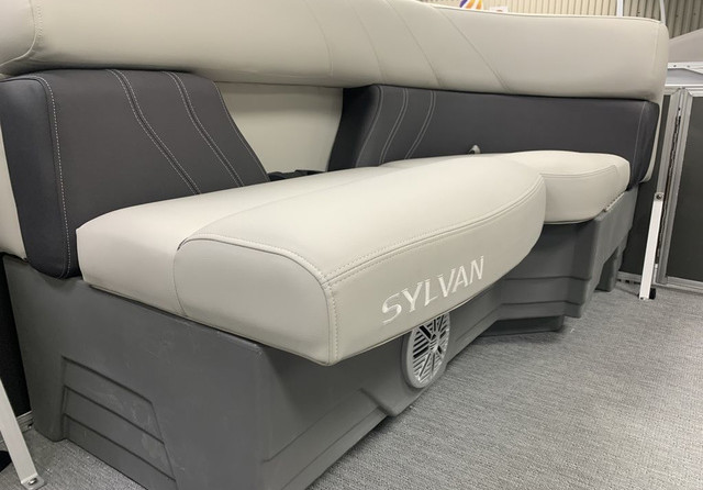 Sylvan 8520 Cruise