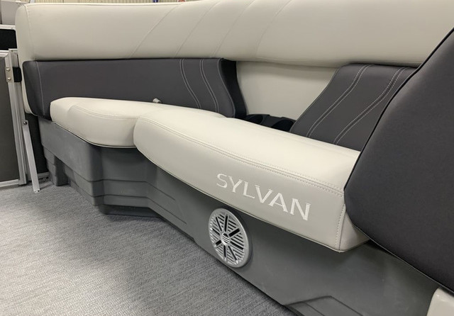 Sylvan 8520 Cruise