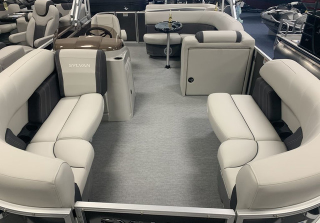 Sylvan 8520 Cruise