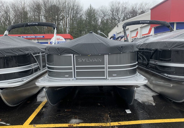 Sylvan 8520 Cruise