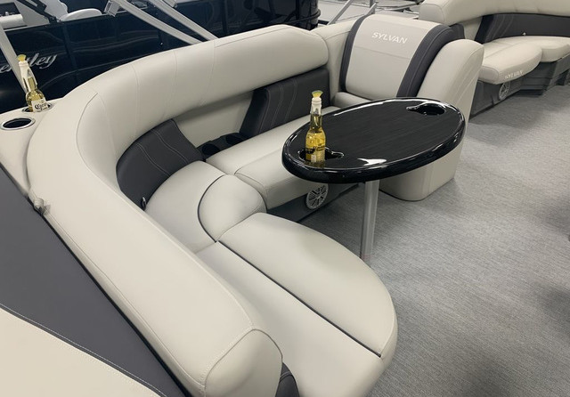 Sylvan 8520 Cruise
