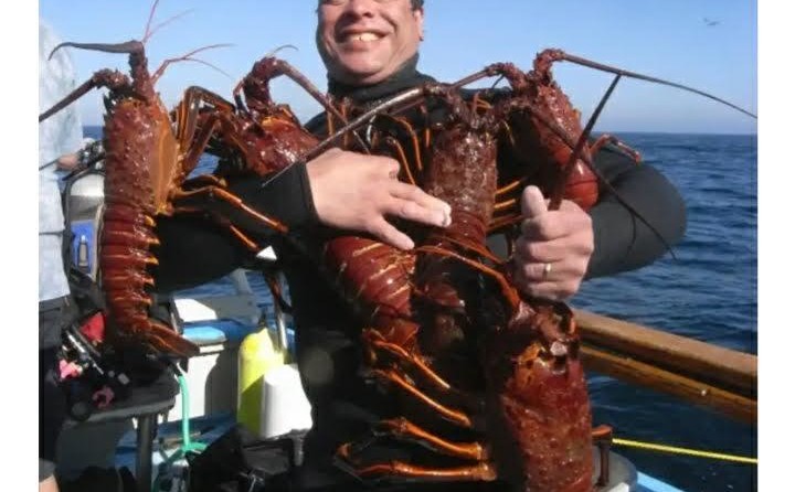 Mariner 34 sport fisher