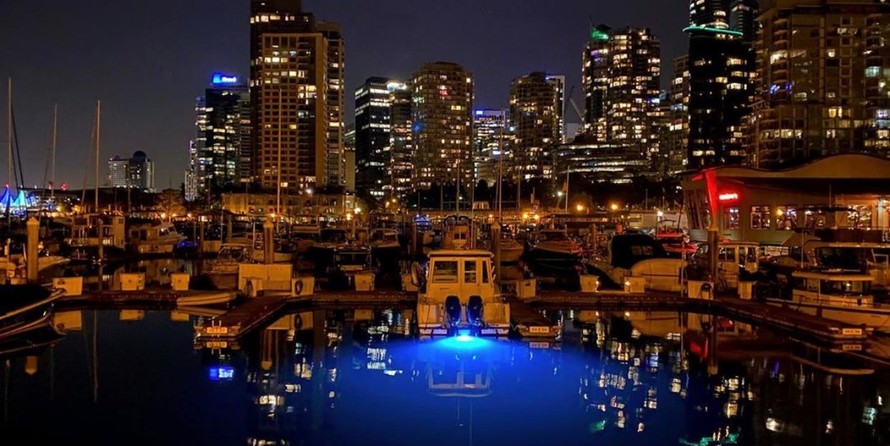 Boston Whaler 315 Conquest Pilothouse