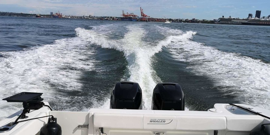 Boston Whaler 315 Conquest Pilothouse
