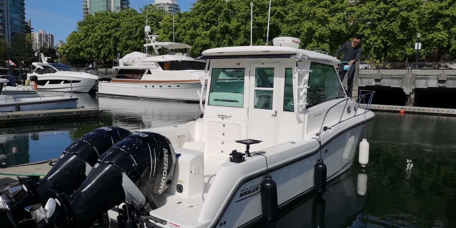 Boston Whaler 315 Conquest Pilothouse