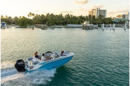 Bayliner M17