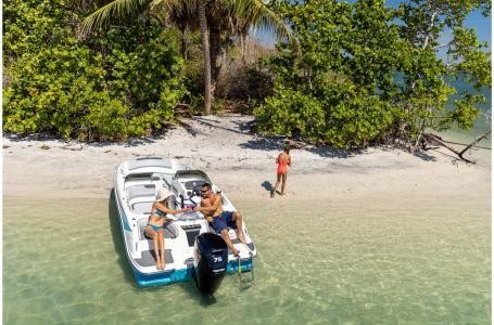 Bayliner M17