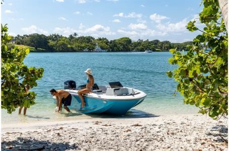 Bayliner M17