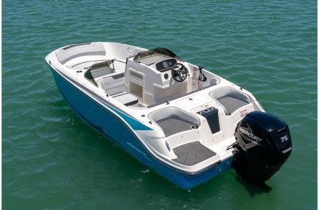 Bayliner M17