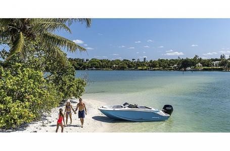 Bayliner M17