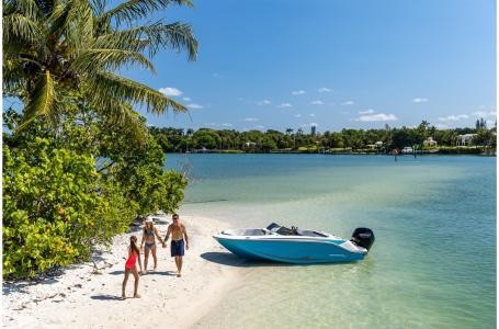 Bayliner M17
