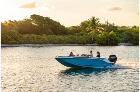 Bayliner M17