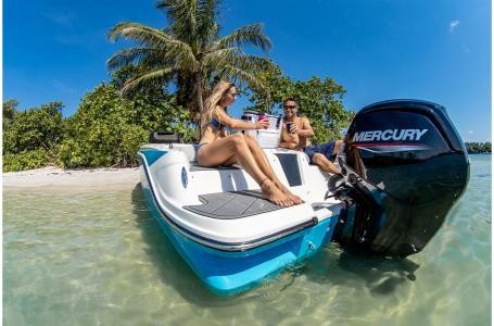 Bayliner Element M17 w/ 90 HP Mercury 4 Stoke