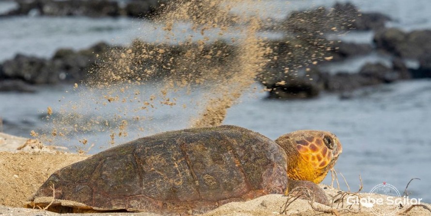 Fountaine pajot belize 43