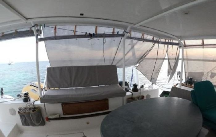 Dolphin 460