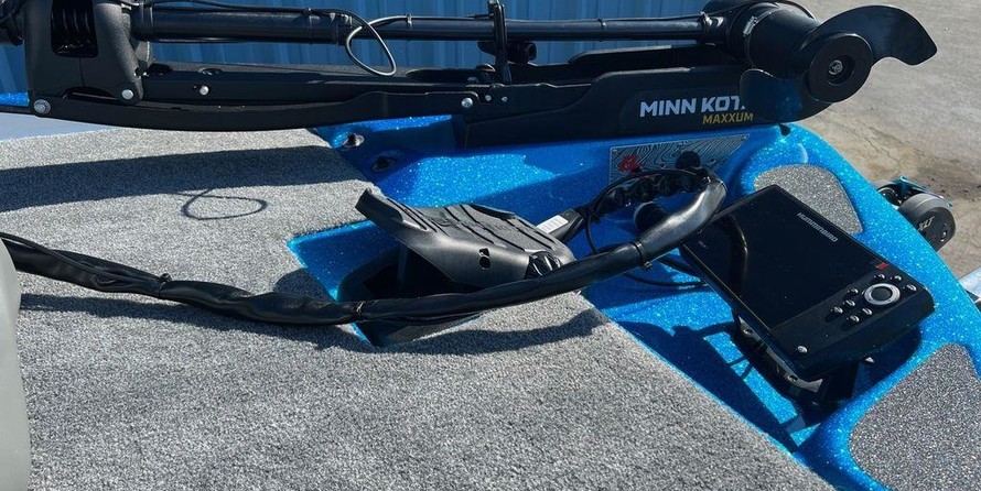 Bass cat 20