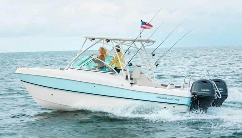 World cat 250 dc