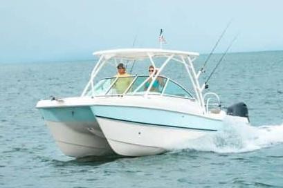 World cat 250 dc