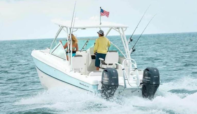 World cat 250 dc