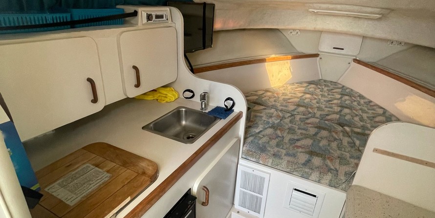 Wellcraft 290 Coastal