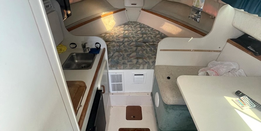 Wellcraft 290 Coastal
