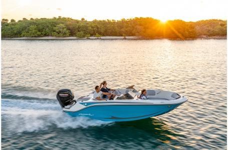 Bayliner Element M17