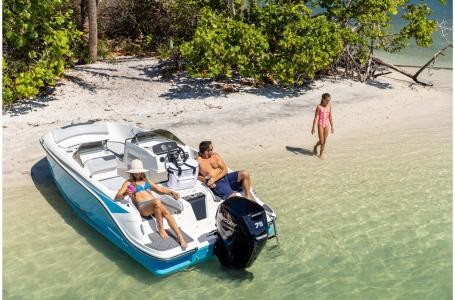 Bayliner Element M17