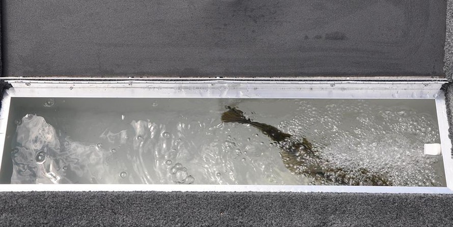 Lund Boats 1600 Fury SS